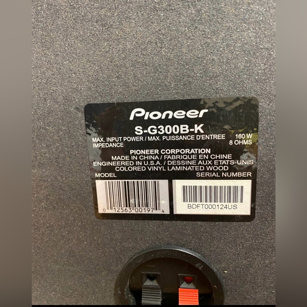 Black Pioneer Speaker